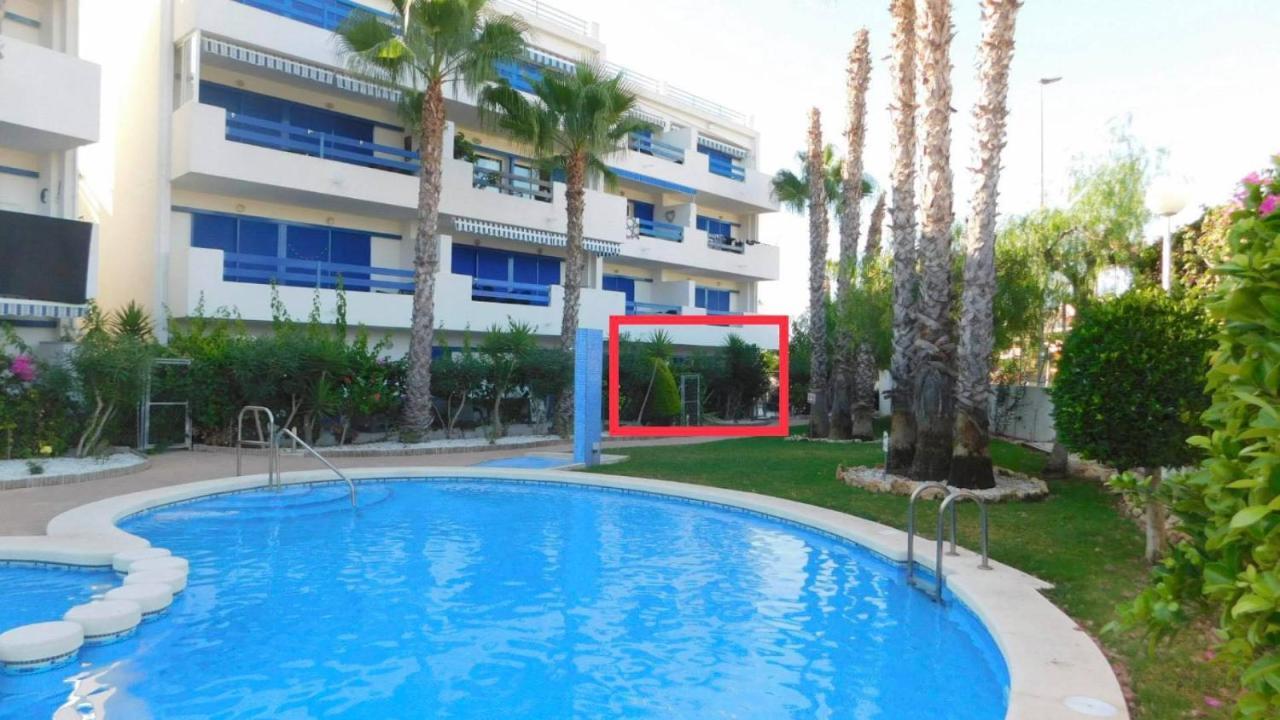 Апартаменты Coral House - La Calma - Playa Flamenca - Big Terrace & 4 Swimming Pools. Экстерьер фото